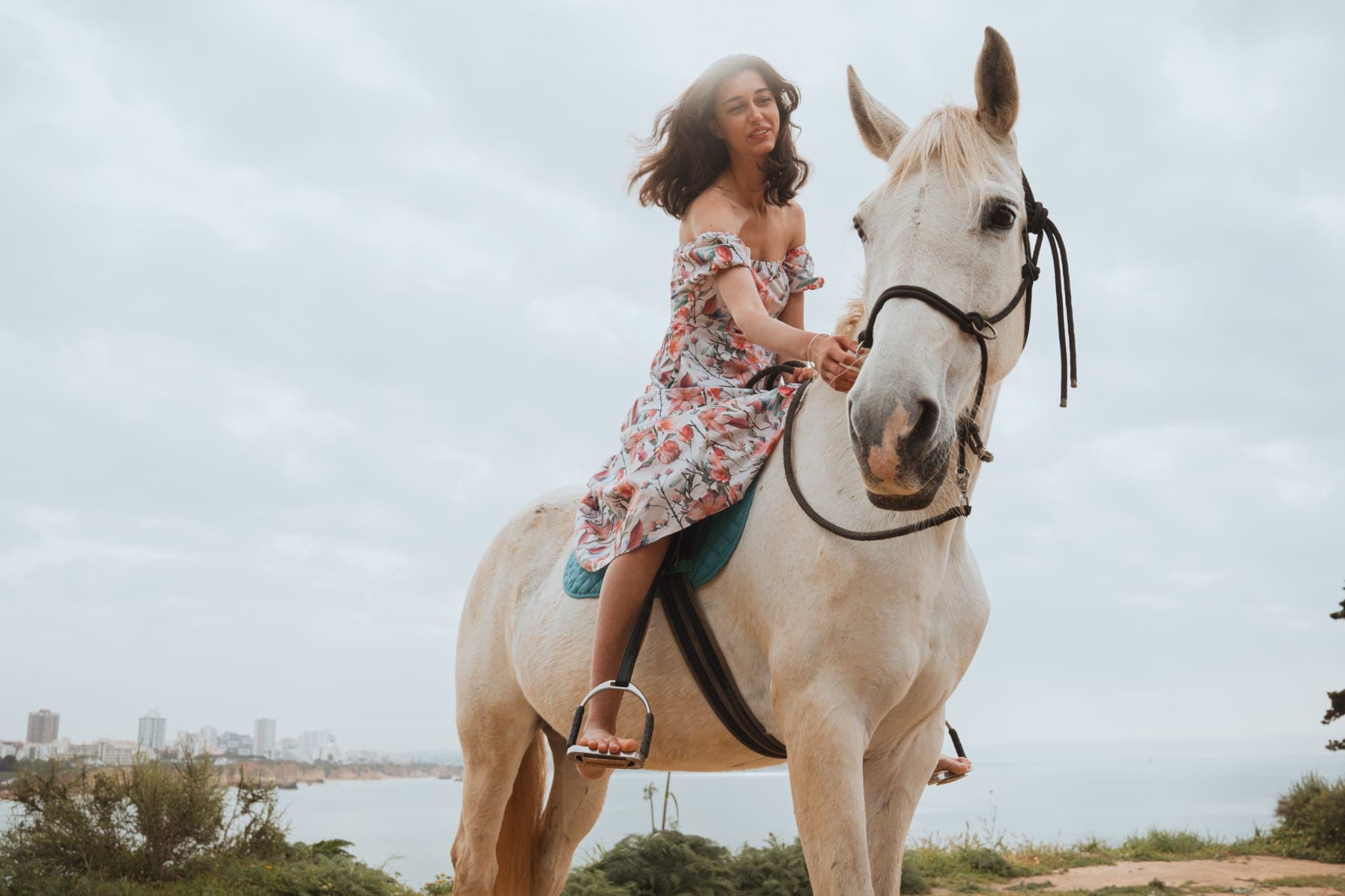 GM Equestrian horses