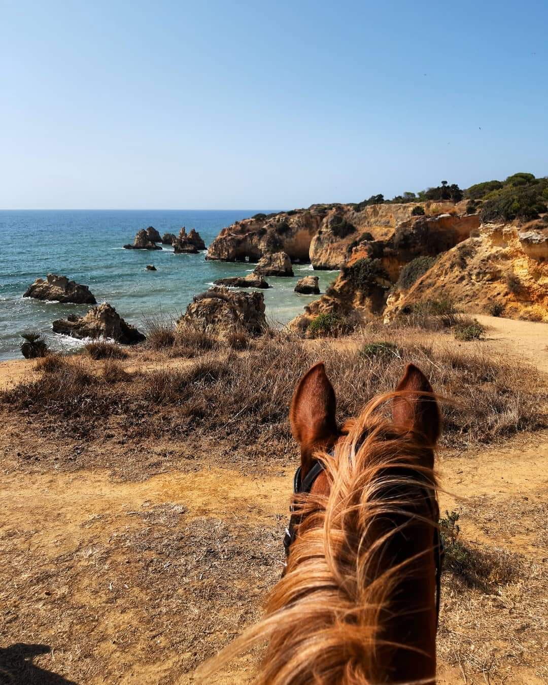 Horse riding on the Algarve cliffs