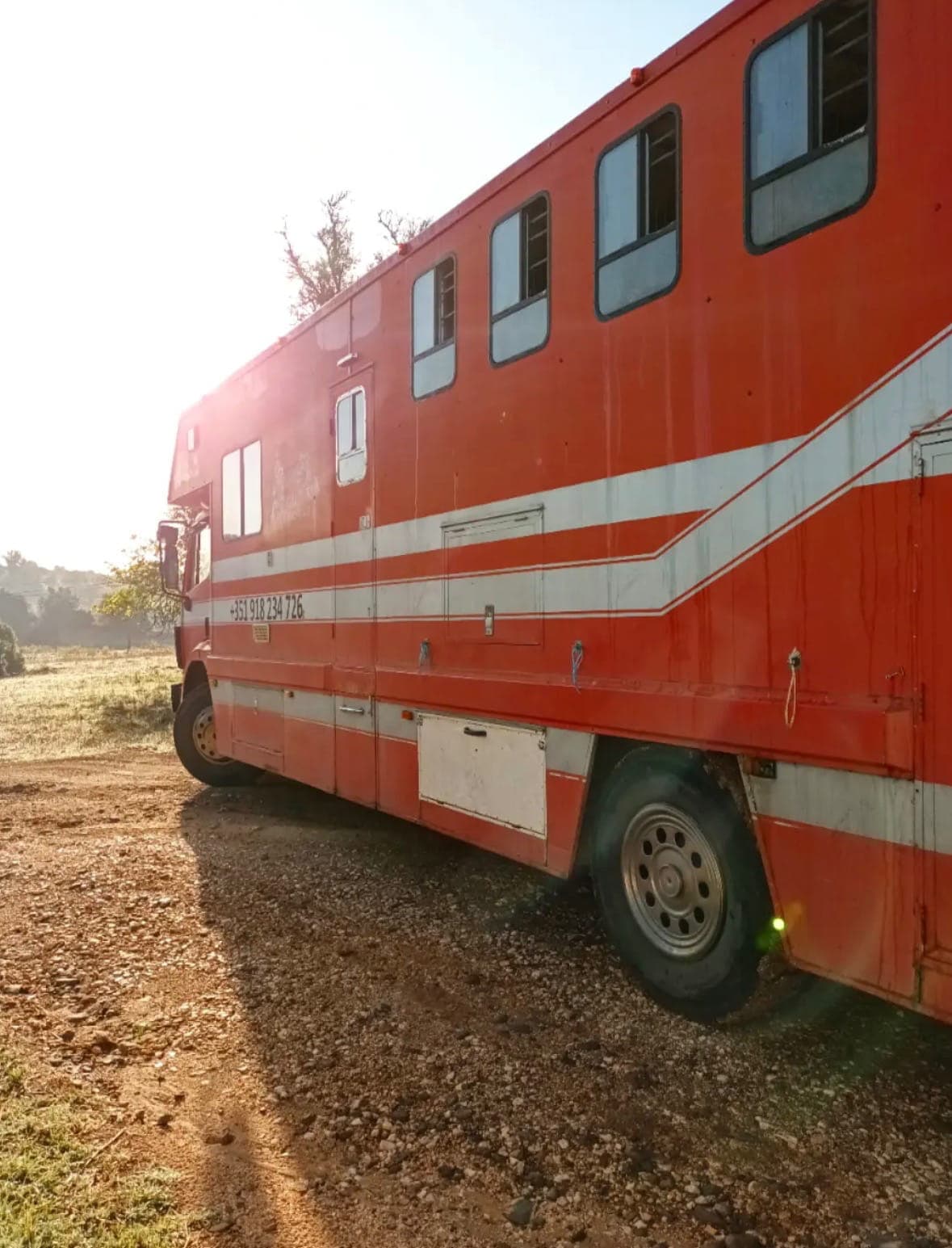 Professional horse transport